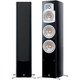Floor Standing Speaker