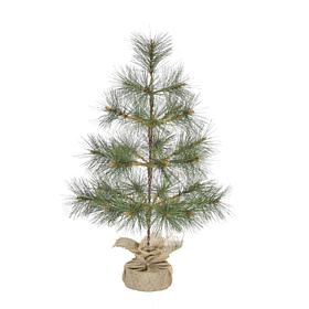 Fraser Hill Farm 3-ft. Farmhouse Fir Christmas Tree with Burlap Bag