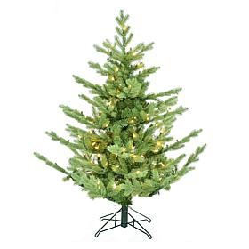 Fraser Hill Farm 4-Ft. Foxtail Pine Pre-Lit Artificial Christmas Tr...