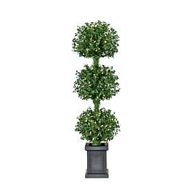 Fraser Hill Farm All Season 4-Ft. Boxwood 3-Ball Topiary with Black...