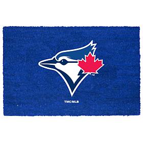 Full Team Color Coir Fiber Doormat with Vinyl Backing