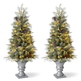 Glitzhome 2pk 4 Ft. Pre-Lit Artificial Pine Christmas Porch Tree