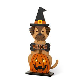 Glitzhome 30"H Halloween Wooden Lighted Witch Dog Porch Decor w/Timer