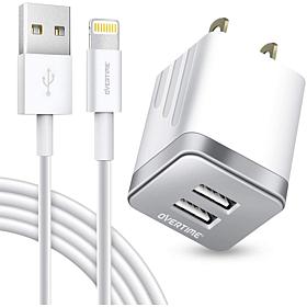 iPhone Charger Set: Wall Charger + 4 Ft Lightning Cable - Silver
