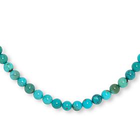 Jay King Andean Blue Turquoise Bead 18" Necklace