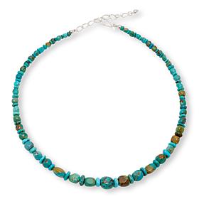 Jay King Armenian Turquoise Bead 18" Necklace