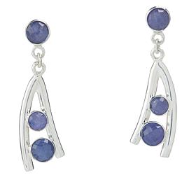 Jay King Gallery Collection Sterling Silver Tanzanite Drop Earrings
