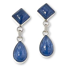 Jay King Sterling Silver Blue Kyanite Drop Earrings