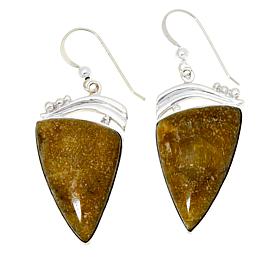 Jay King Sterling Silver Green Volcanic Opal Drop Earrings
