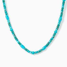 Jay King Sterling Silver Heavenly Well Lake Turquoise Necklace