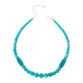 Jay King Sterling Silver Peruvian Amazonite Bead Necklace