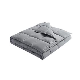 Lotus Home Stain Resistant Bacteria Inhibiting Throw, 50" x 70"