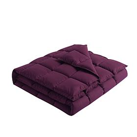 Lotus Home Stain Resistant Bacteria Inhibiting Throw, 50" x 70"