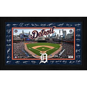 MLB Detroit Tigers 2026 Signature Field Frame