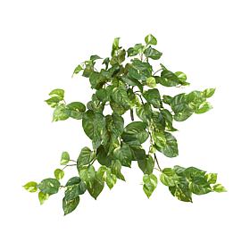 Nearly Natural 30" Pothos Hanging Bush 3-pack