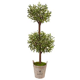 Nearly Natural 5' Olive Tree in Farmhouse Planter