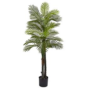 Nearly Natural 5.5 ft. UV Resistant Double Robellini Palm Tree