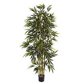 Nearly Natural 6 ft. Bamboo Tree with 1,024 Leaves