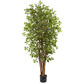 Nearly Natural 6 ft. Black Olive Tree with 940 Leaves