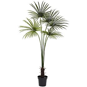 Nearly Natural 7 ft. UV Resistant Fan Palm Tree