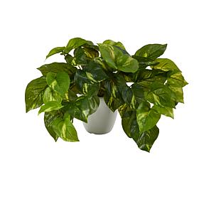 Nearly Natural 9 in. Pothos Plant in White Planter (Real Touch)