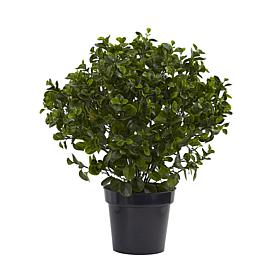 Nearly Natural UV-Resistant 28" Peperomia Plant Indoor/Outdoor