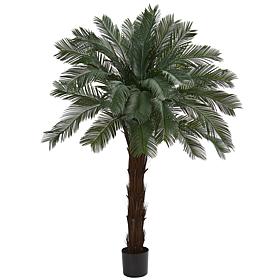 Nearly Natural UV-Resistant 6' Cycas Tree Indoor/Outdoor