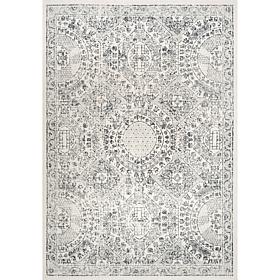 nuLOOM Minta Vintage Transitional Area Rug - 4' x 6' Grey