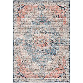 nuLOOM Sawyer Vintage Transitional Area Rug 8' x 10' Multi