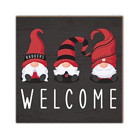 Officially Licensed NCAA University of Wisconsin Welcome Gnomes Sign