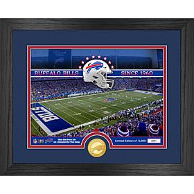 Officially Licensed NFL Buffalo Bills Stadium Bronze Coin Photo Mint