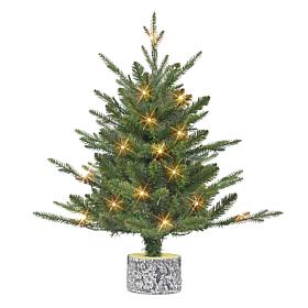 Puleo International 2' B/O Potted Tree w/ 20 Warm White LED Lights