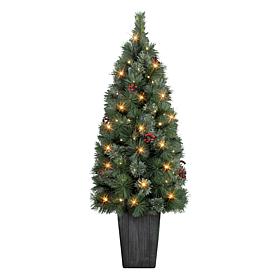Puleo International 4' Potted Cascade Pine Tree with Plastic Pot