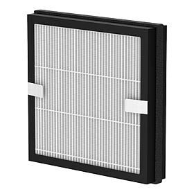 Pure Enrichment PureZone Duo True HEPA Replacement Filter Auto-Ship®