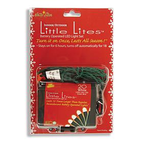 Pure-White, Battery-Operated Mini Lights - 20
