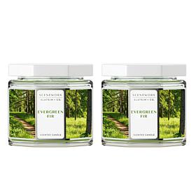 ScentWorx by Slatkin + Co. 2-Pack 14.5 oz. Evergreen Fir Candles