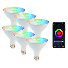Smart WiFi PAR38 E26 Dimmable Recess Light Bulb LB2 - 6PK