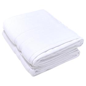 South Street Loft 2-pack Zero Twist Bath Sheets 35" x 60"