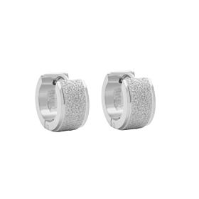 Stately Steel Sandy Huggie Earrings