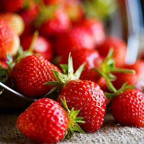 Van Zyverden Junebearing Strawberries Eclair Set of 20 Roots