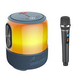 WFG 60W Portable Bluetooth Waterproof Party Speaker w/RGB Lights & Mic