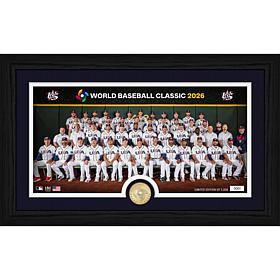 World Baseball Classic 2026 Team USA Bronze Coin Photo Mint