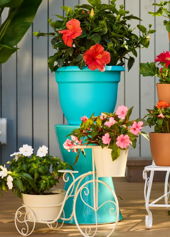 Up to 20% off plants
