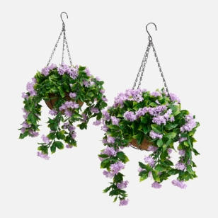 Hanging plants