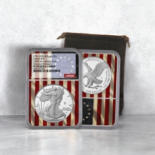 American Silver Eagle coin